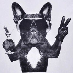 Meet your Posher, Steven